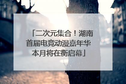 二次元集合！湖南首届电竞动漫嘉年华本月将在衡启幕