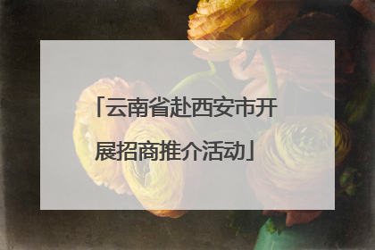 云南省赴西安市开展招商推介活动