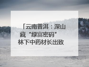 云南普洱：深山藏“绿富密码” 林下中药材长出致富新图景