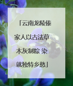 云南龙陵傣家人以古法草木灰制粽 染就独特乡愁