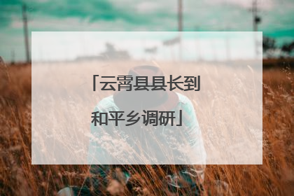 云霄县县长到和平乡调研