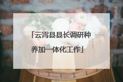 云霄县县长调研种养加一体化工作