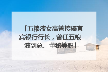 五粮液女高管接棒宜宾银行行长，曾任五粮液副总、董秘等职