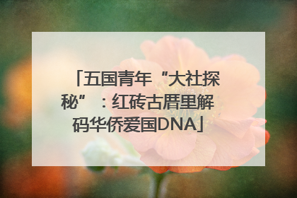 五国青年“大社探秘”：红砖古厝里解码华侨爱国DNA