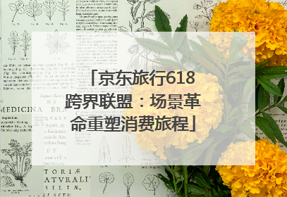 京东旅行618跨界联盟：场景革命重塑消费旅程