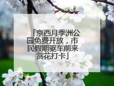 京西月季洲公园免费开放，市民假期驱车前来赏花打卡