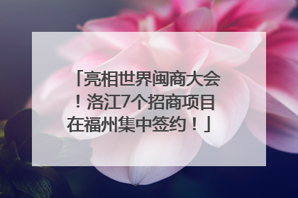 亮相世界闽商大会！洛江7个招商项目在福州集中签约！