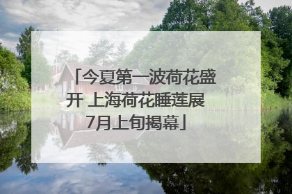 今夏第一波荷花盛开 上海荷花睡莲展7月上旬揭幕