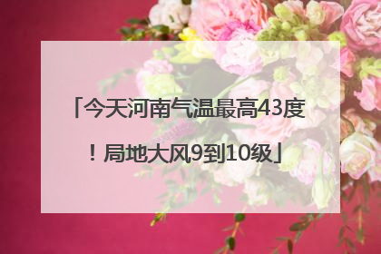 今天河南气温最高43度！局地大风9到10级