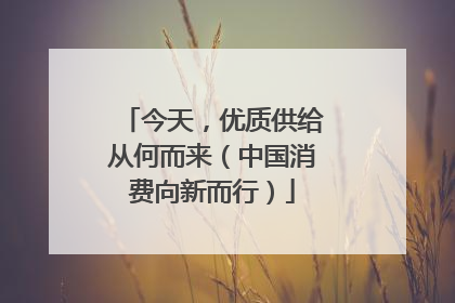 今天，优质供给从何而来（中国消费向新而行）