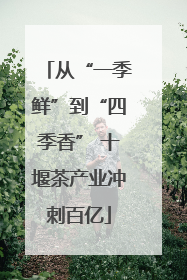 从“一季鲜”到“四季香” 十堰茶产业冲刺百亿