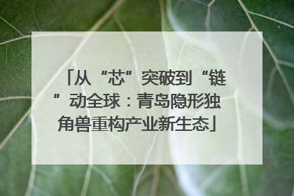 从“芯”突破到“链”动全球：青岛隐形独角兽重构产业新生态