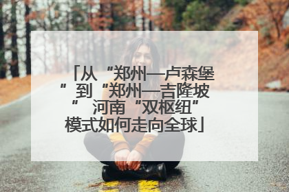 从“郑州—卢森堡”到“郑州—吉隆坡” 河南“双枢纽”模式如何走向全球
