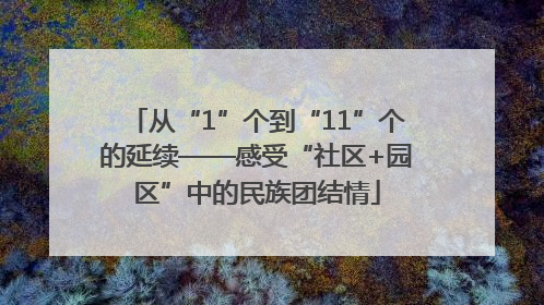 从“1”个到“11”个的延续——感受“社区+园区”中的民族团结情