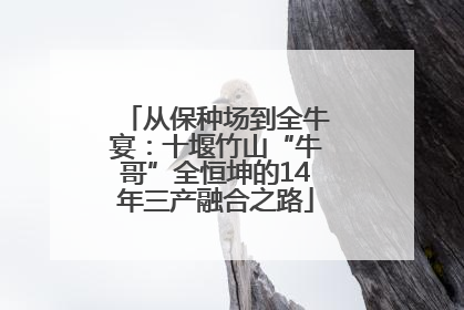 从保种场到全牛宴：十堰竹山“牛哥”全恒坤的14年三产融合之路