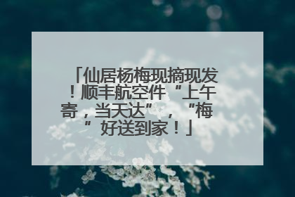 仙居杨梅现摘现发！顺丰航空件“上午寄，当天达”，“梅”好送到家！