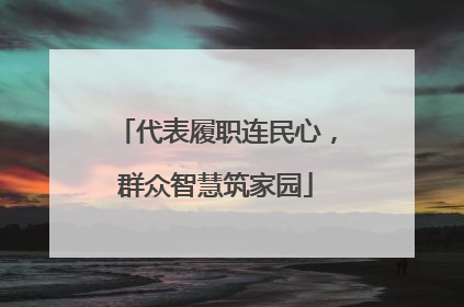 代表履职连民心，群众智慧筑家园
