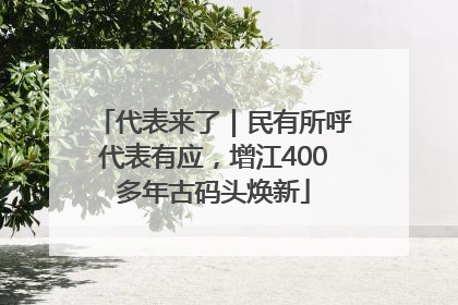代表来了｜民有所呼代表有应，增江400多年古码头焕新