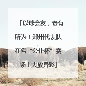 以球会友，老有所为！郑州代表队在省“公仆杯”赛场上大放异彩