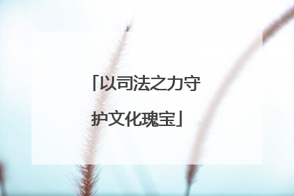 以司法之力守护文化瑰宝