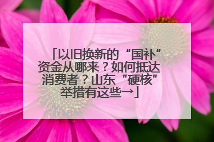 以旧换新的“国补”资金从哪来？如何抵达消费者？山东“硬核”举措有这些→
