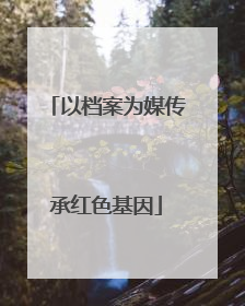以档案为媒传承红色基因