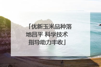 优新玉米品种落地昌平 科学技术指导助力丰收