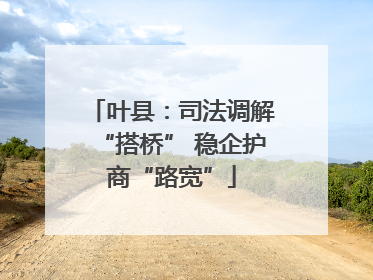 叶县：司法调解“搭桥” 稳企护商“路宽”