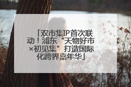 双市集IP首次联动！浦东“天物好市×初见集”打造国际化跨界嘉年华