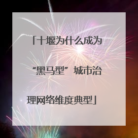 十堰为什么成为“黑马型”城市治理网络维度典型