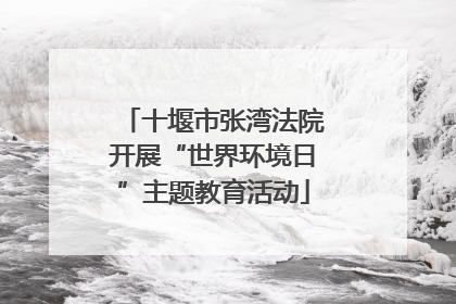 十堰市张湾法院开展“世界环境日”主题教育活动