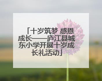 十岁筑梦 感恩成长——庐江县城东小学开展十岁成长礼活动