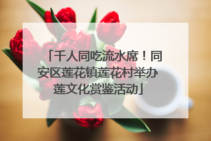 千人同吃流水席！同安区莲花镇莲花村举办莲文化赏鉴活动