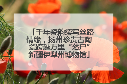 千年瓷韵续写丝路情缘，扬州珍贵古陶瓷跨越万里“落户”新疆伊犁州博物馆