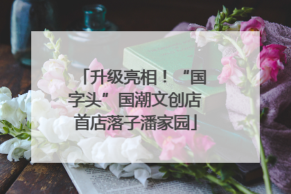 升级亮相！“国字头”国潮文创店首店落子潘家园