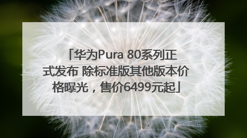 华为Pura 80系列正式发布 除标准版其他版本价格曝光，售价6499元起