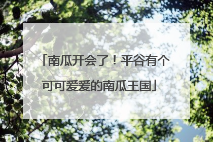 南瓜开会了！平谷有个可可爱爱的南瓜王国