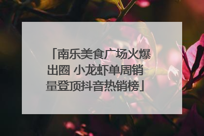 南乐美食广场火爆出圈 小龙虾单周销量登顶抖音热销榜