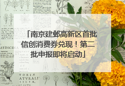 南京建邺高新区首批信创消费券兑现！第二批申报即将启动