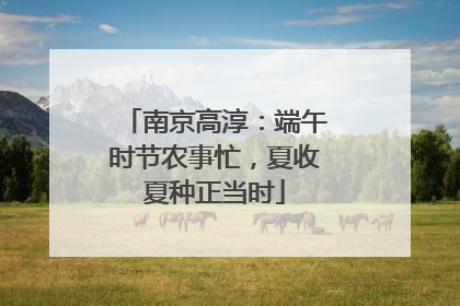 南京高淳：端午时节农事忙，夏收夏种正当时