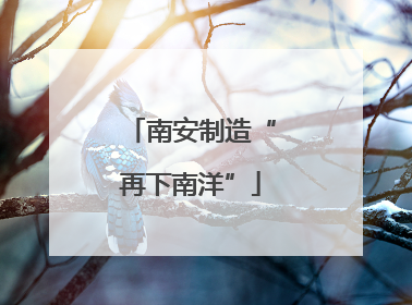 南安制造“再下南洋”