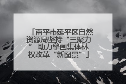 南平市延平区自然资源局坚持“三聚力” 助力擎画集体林权改革“新图景”
