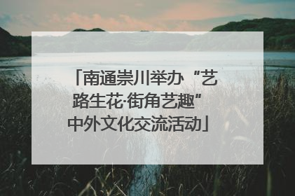 南通崇川举办“艺路生花·街角艺趣”中外文化交流活动