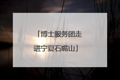 博士服务团走进宁夏石嘴山