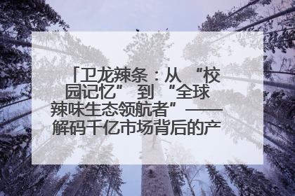 卫龙辣条：从 “校园记忆” 到 “全球辣味生态领航者”——解码千亿市场背后的产品创新与全链路破圈