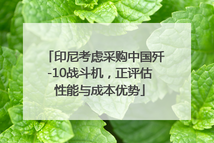 印尼考虑采购中国歼-10战斗机，正评估性能与成本优势