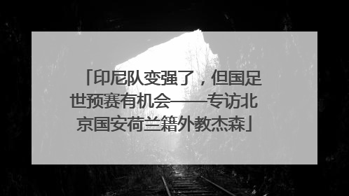 印尼队变强了，但国足世预赛有机会——专访北京国安荷兰籍外教杰森