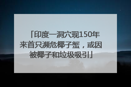 印度一洞穴现150年来首只濒危椰子蟹，或因被椰子和垃圾吸引