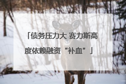 债务压力大 赛力斯高度依赖融资“补血”