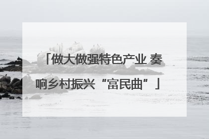 做大做强特色产业 奏响乡村振兴“富民曲”